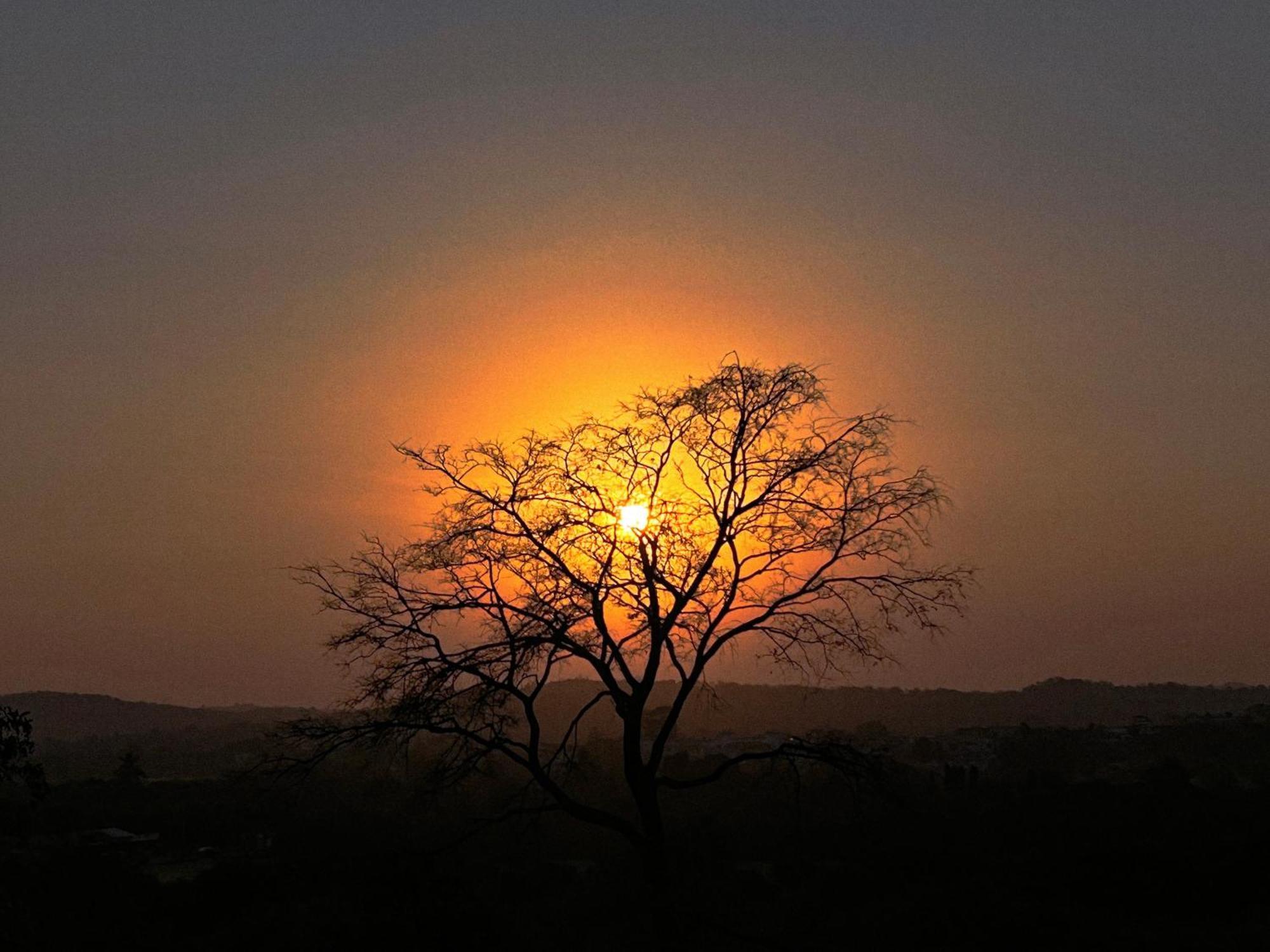 Gir Birding Lodge Sasan Gir Exterior foto